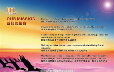 专业设计服务 使命、愿景、核心价值观与企业文化