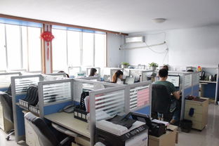 泰安高端网站制作 专业设计人员为您提供定制化服务